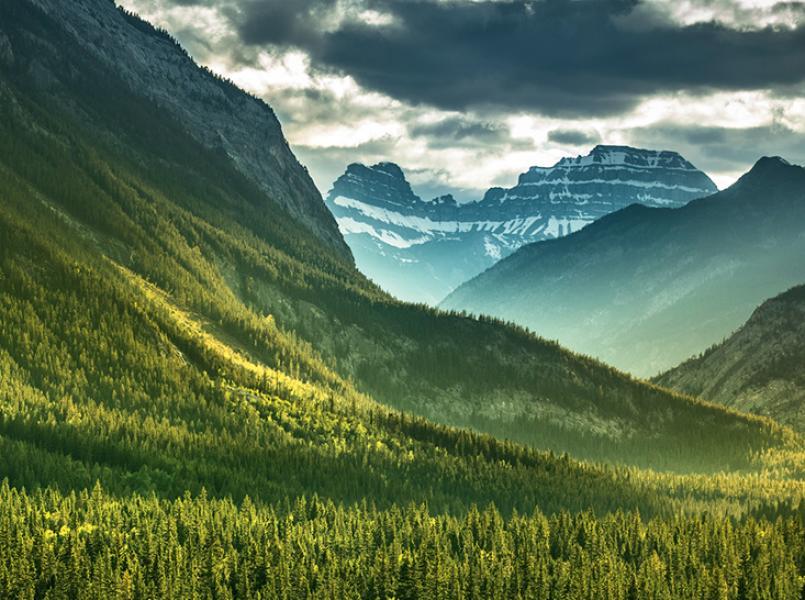 carbon gerflor sustainability