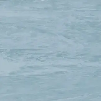 Coloris 2028 - scanmobile