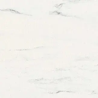 2004-WHITE103-CI-opti