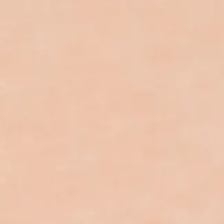 7019 Cloud Terra - Mural Calypso