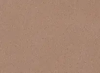 TARASAFE STANDARD - Badian